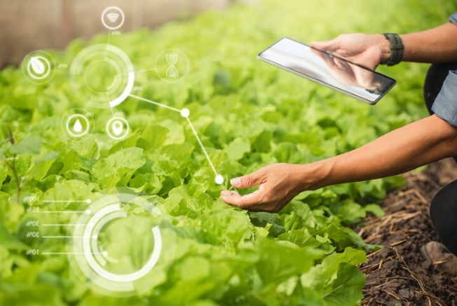 agricultura-domotizada