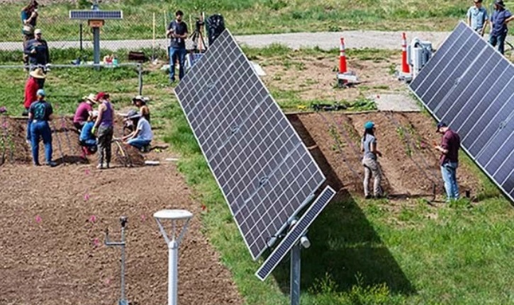 agrovoltaica-urbana