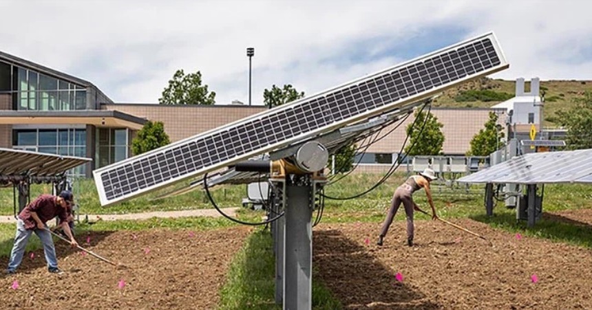 siembra-agrovoltaica